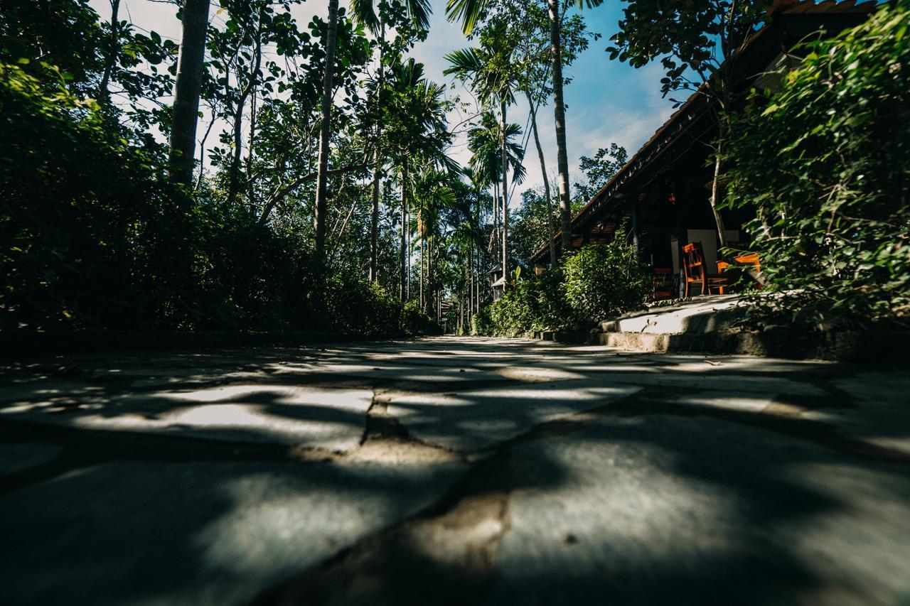 Thuy Bieu Homestay Hue Bilik gambar